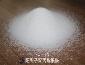 阳离子聚丙烯酰胺在选型时应注意哪些问题